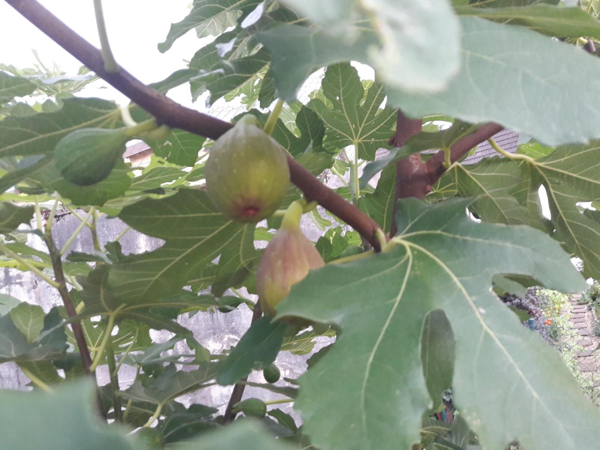 Appartamento Wickys Igelnest Malsch  Esterno foto
